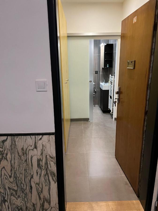 Studio Apartment In Center 布尔诺 外观 照片